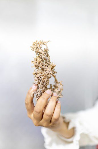 Proses Produksi Skincare di Pabrik Kosmetik