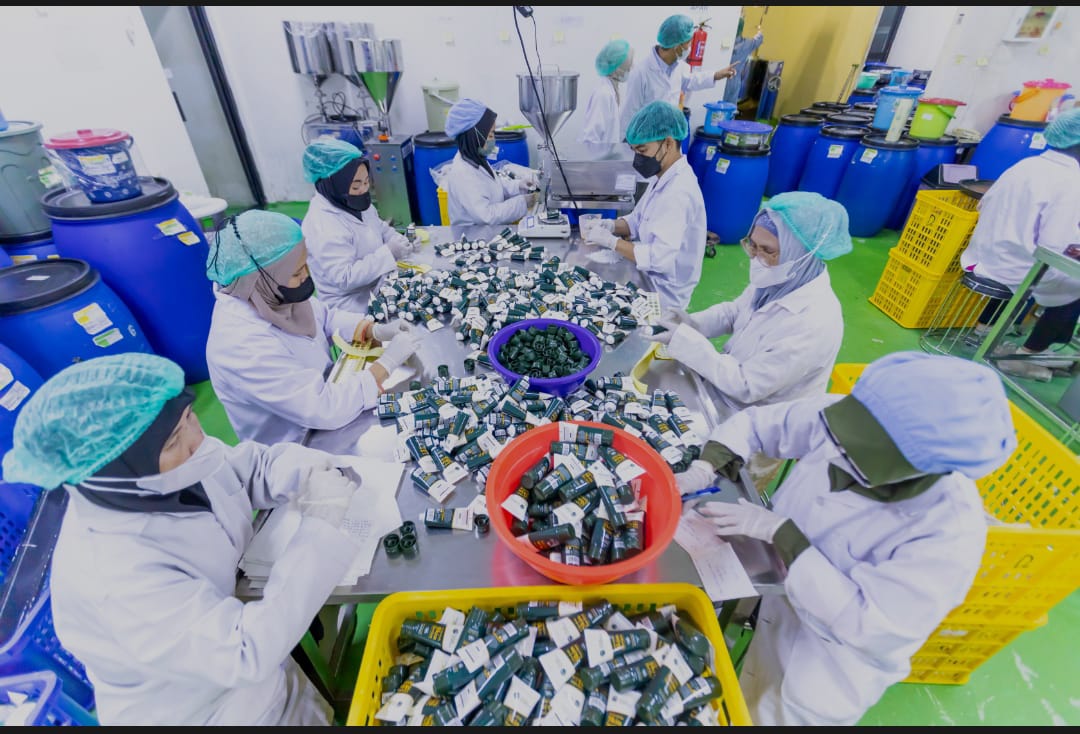 Strategi UKM Membangun Produk Premium dengan Bantuan Pabrik Maklon