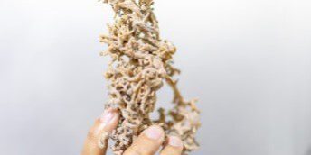 Proses Produksi Skincare di Pabrik Kosmetik