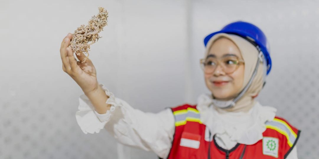 Keuntungan Menggunakan Jasa Pabrik Maklon untuk UKM