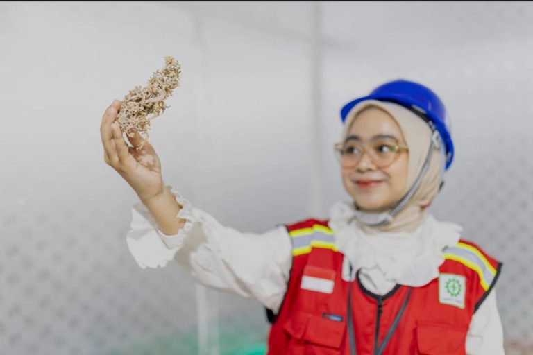 Keuntungan Menggunakan Jasa Pabrik Maklon untuk UKM