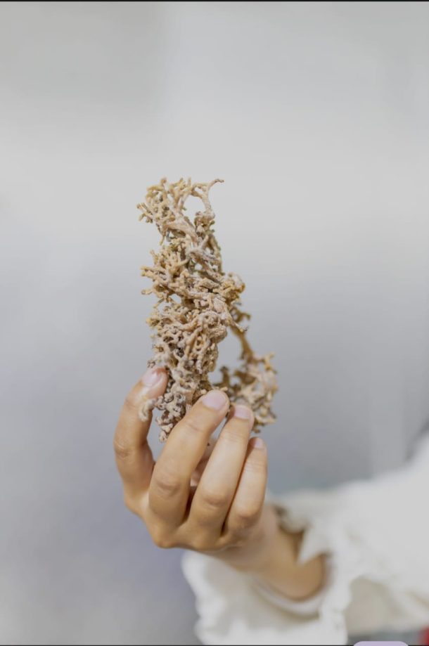 Langkah UKM Naik Kelas Bersama Pabrik Maklon Profesional