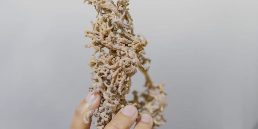 WhatsApp Image 2025-09-12 at 09.11.36 Langkah UKM Naik Kelas Bersama Pabrik Maklon Profesional