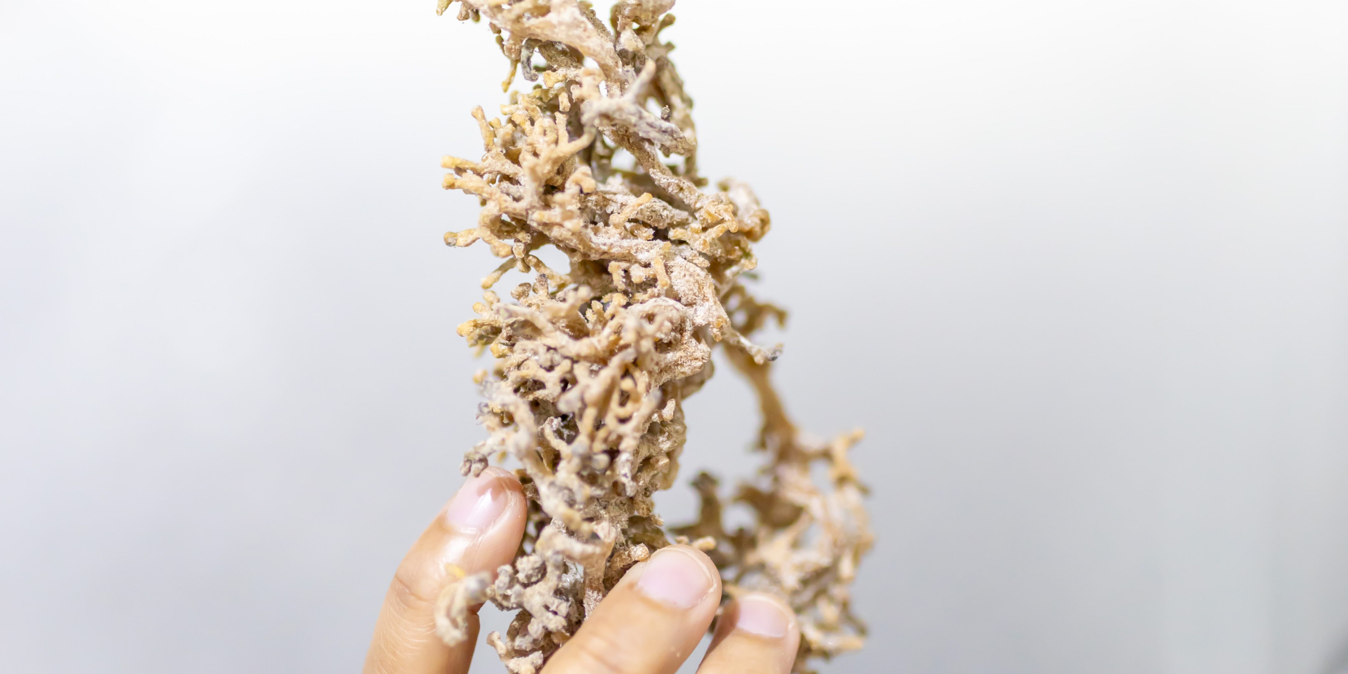 Peluang Bisnis Skincare Private Label Melalui Maklon Bogor