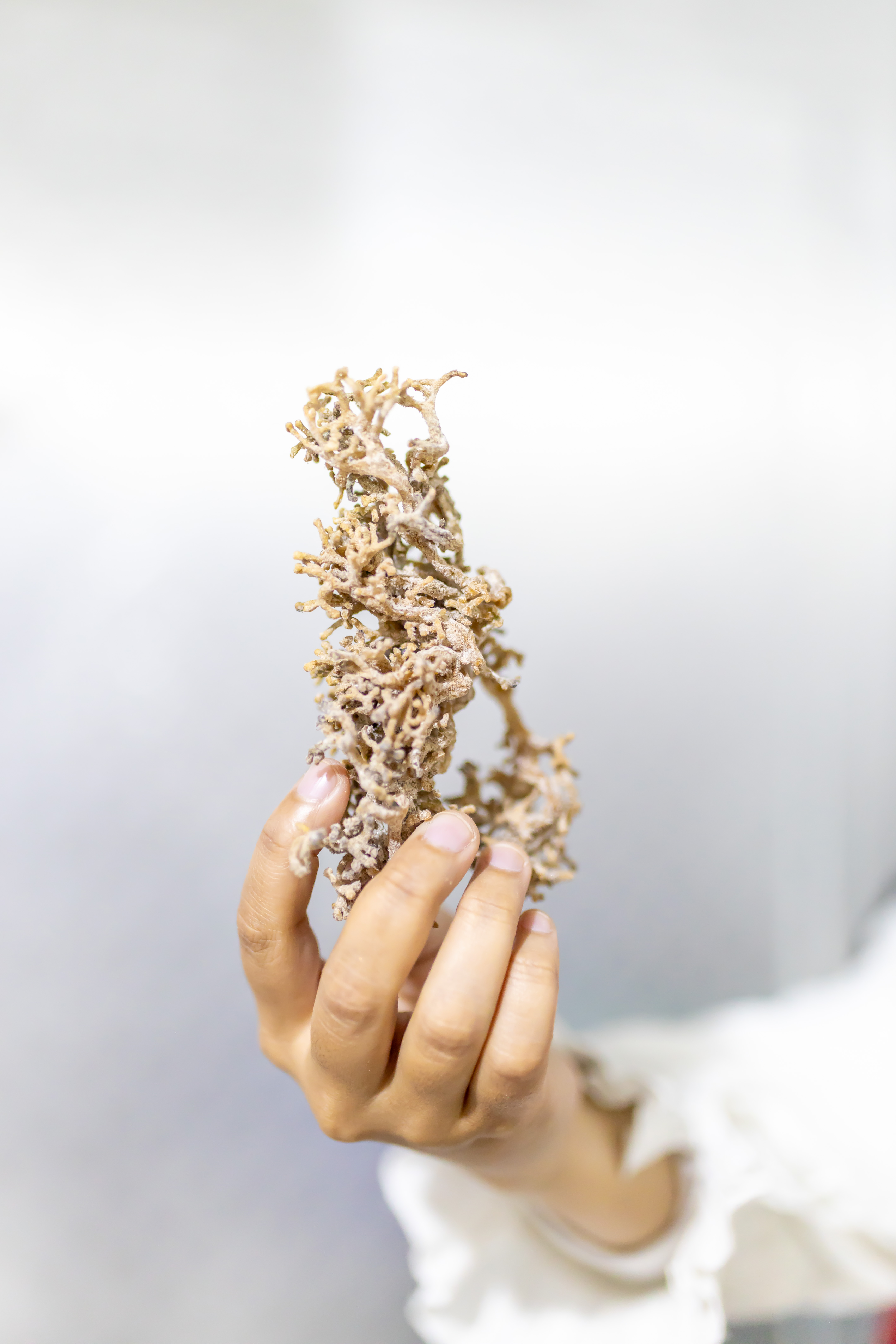 0A5A4049 Peluang Bisnis Skincare Private Label Melalui Maklon Bogor